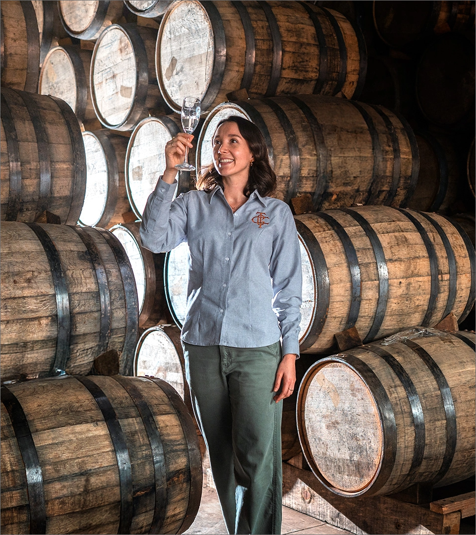 ¿POR QUÉ ELEGIRNOS Y CÓMO TRABAJAR JUNTOS?